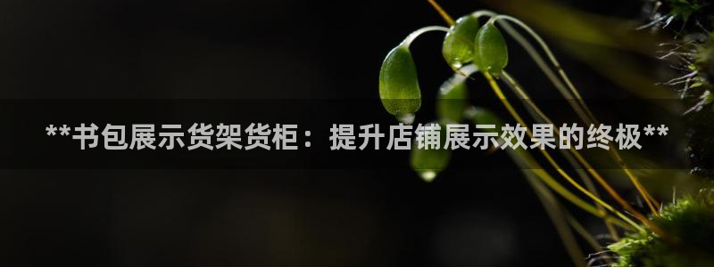 杏运平台代理