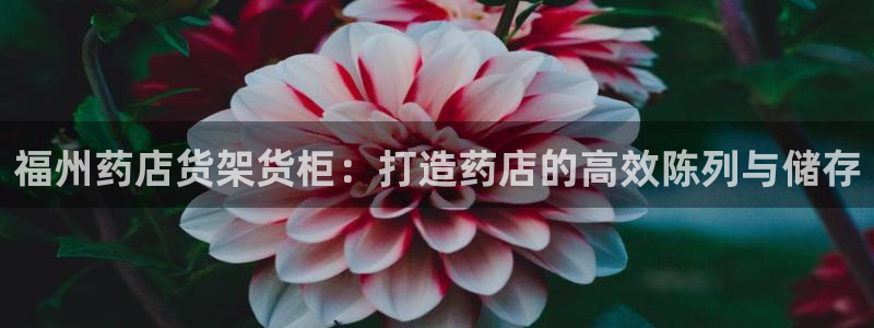 杏运注册登录