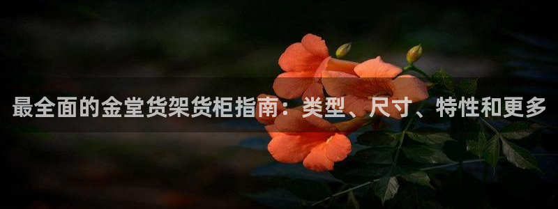 杏运平台招商
