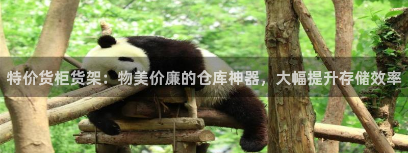 杏运注册账号