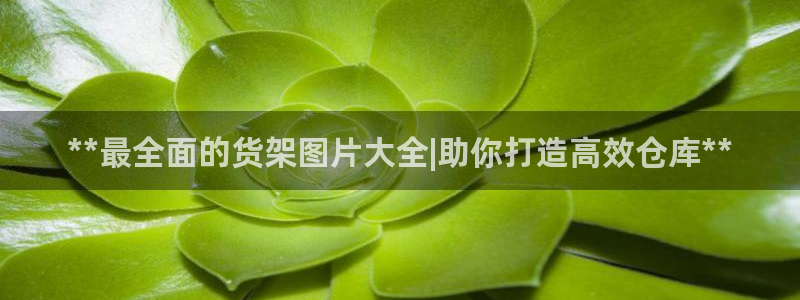 杏运注册登录地址