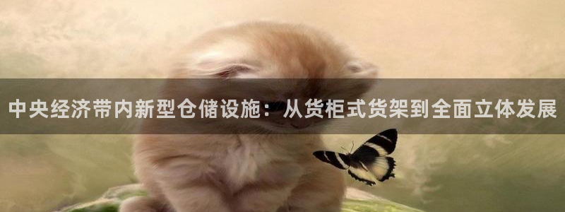 杏运体育网：中央经济带内新型仓储设施：从