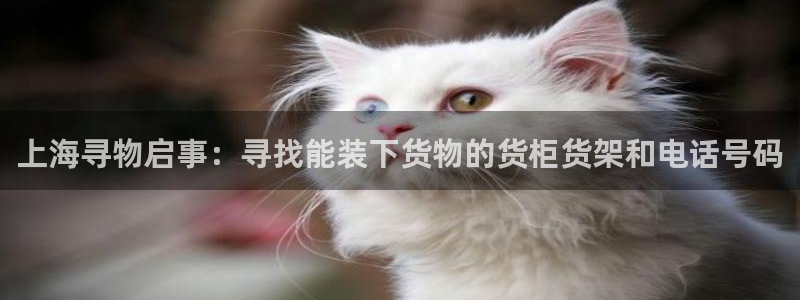 杏运注册账号：上海寻物启事：寻找能装下货