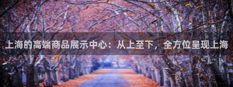 杏运娱乐怎么样：上海的高端商品展示中心：