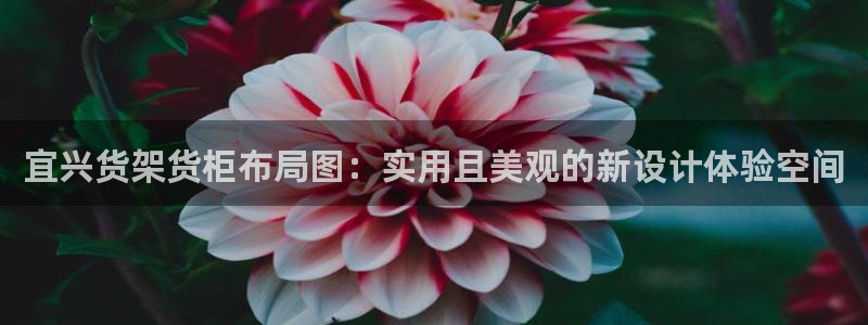 杏运汽车