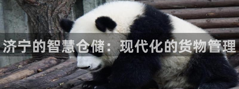杏运体育app