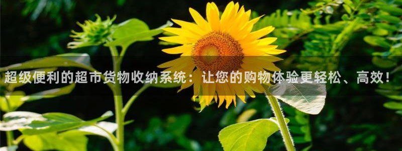 杏运平台登陆