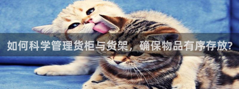 杏运体育官网