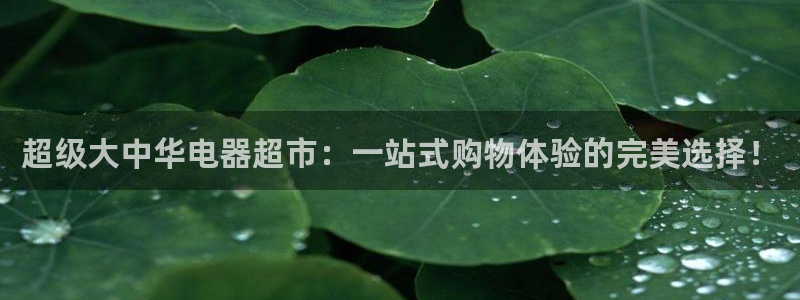 杏运体育官方网址登录