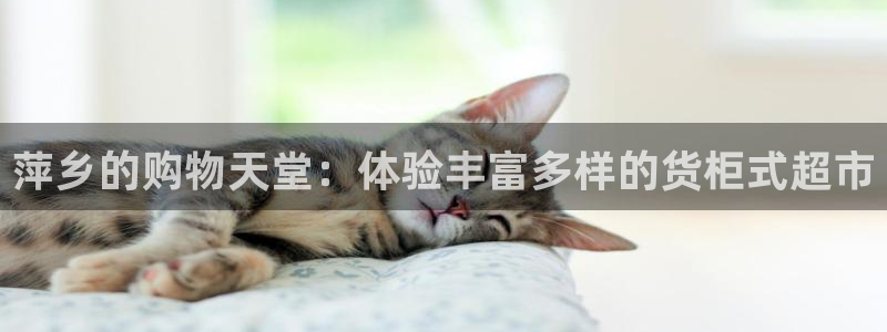 杏运体育网