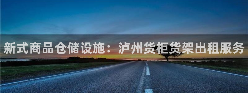 杏运体育：新式商品仓储设施：泸州货柜货架