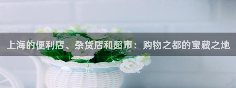 杏运平台招商：上海的便利店、杂货店和超市
