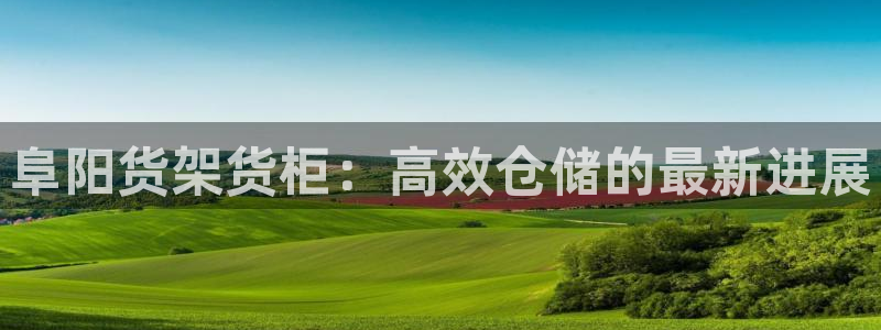 杏运体育app下载安装：阜阳货架货柜：高
