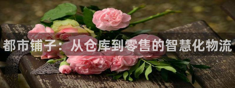 杏运注册登录地址：都市铺子：从仓库到零售