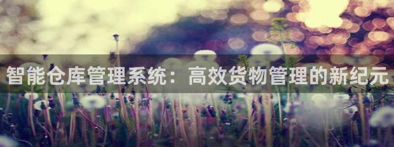 杏运注册：智能仓库管理系统：高效货物管理