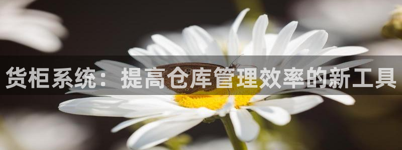 杏运体育官方网址登录