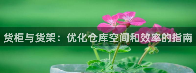 杏运平台官方网站