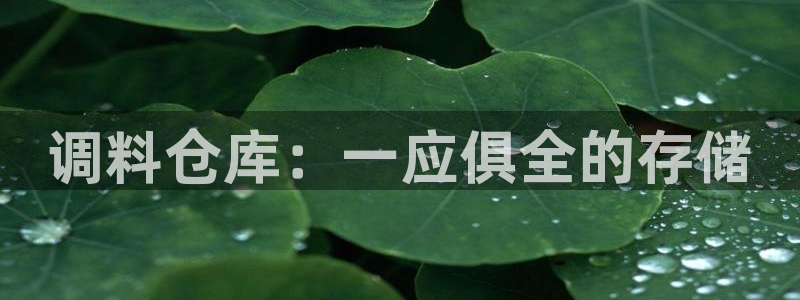 杏运体育注册：调料仓库：一应俱全的存储