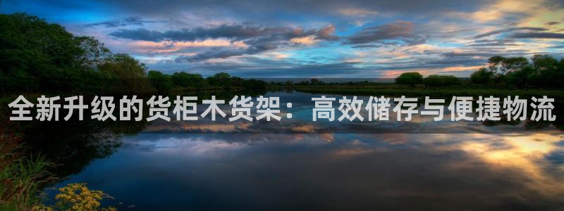 杏运相伴：全新升级的货柜木货架：高效储存