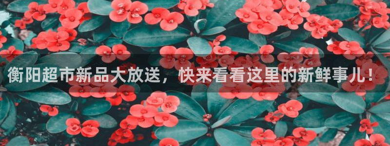 杏运体育官方网址：衡阳超市新品大放送，快