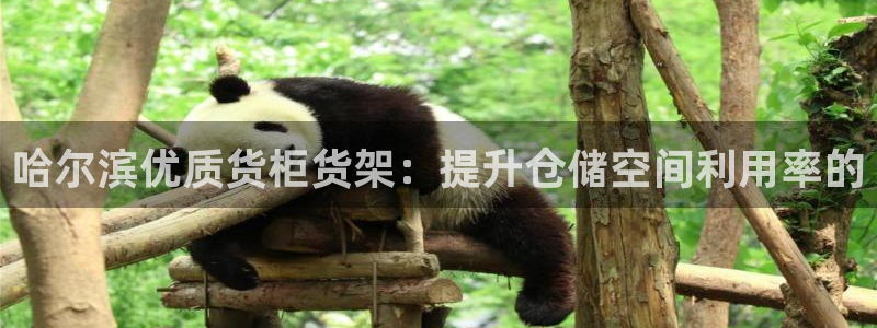 杏运注册登录：哈尔滨优质货柜货架：提升仓