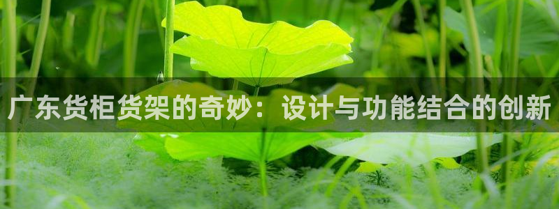 杏运体育不给出款