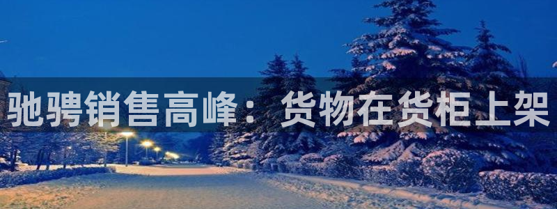 杏运体育官网：驰骋销售高峰：货物在货柜上