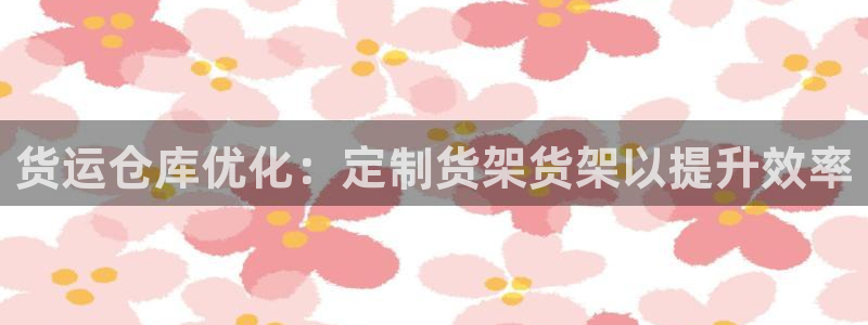 杏运注册：货运仓库优化：定制货架货架以提