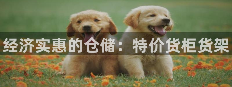 杏运体育注册：经济实惠的仓储：特价货柜货